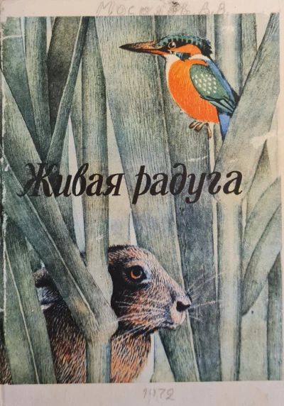 Живая радуга