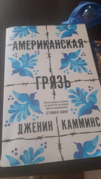 Американская грязь