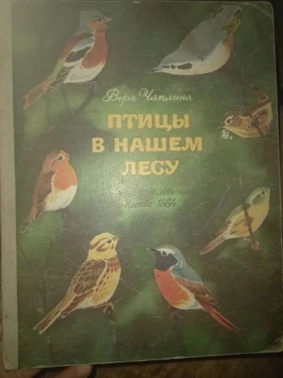 Птицы в нашем лесу