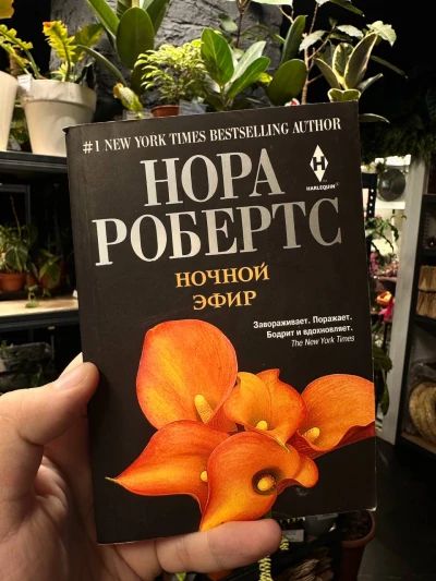 Ночной эфир