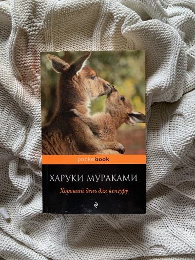 Хороший день для кенгуру