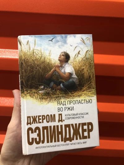 Над пропастью во ржи