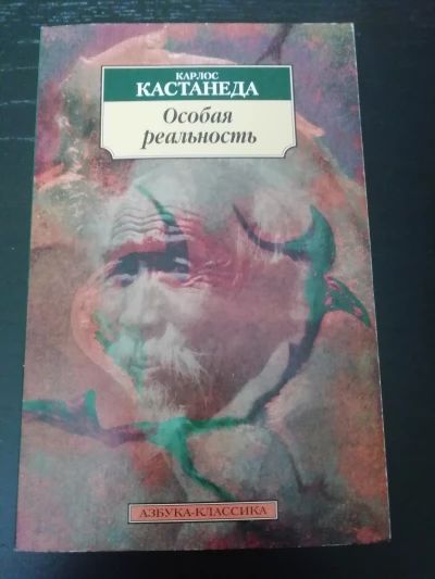 Особая реальность