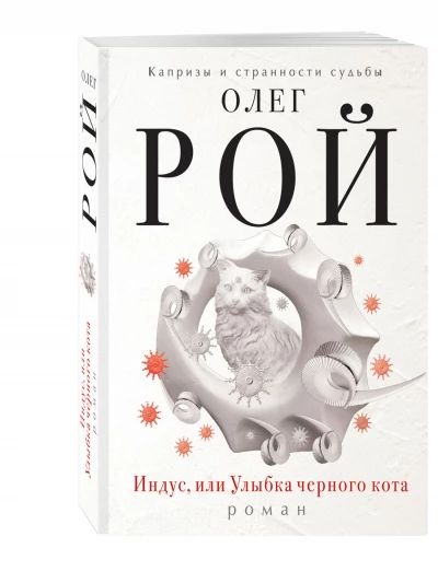 Индус, или Улыбка черного кота