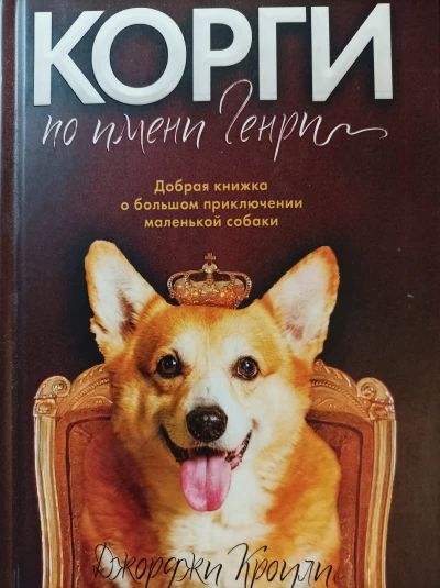 Корги по имени Генри