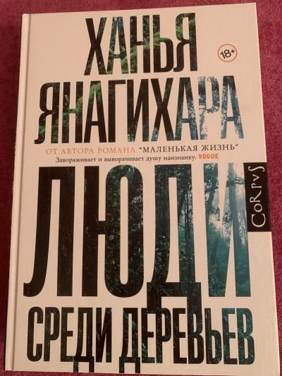 Люди среди деревьев