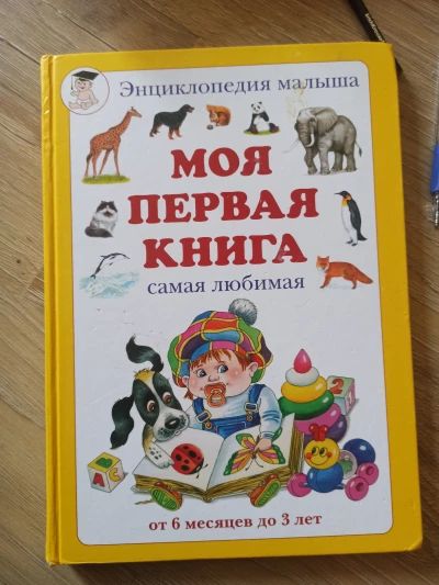 Моя первая книга