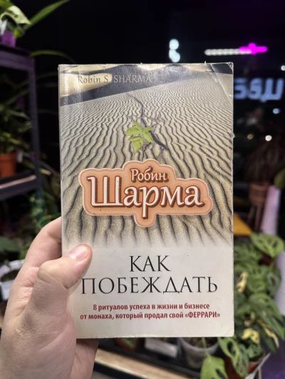 Как побеждать 8 ритуалов успеха в жизни и бизнесе от монаха, который продал свой феррари