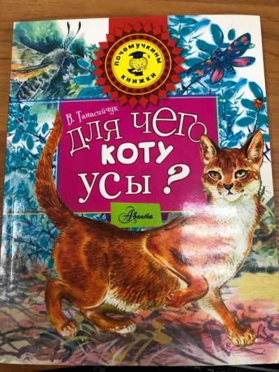 Для чего коту усы?