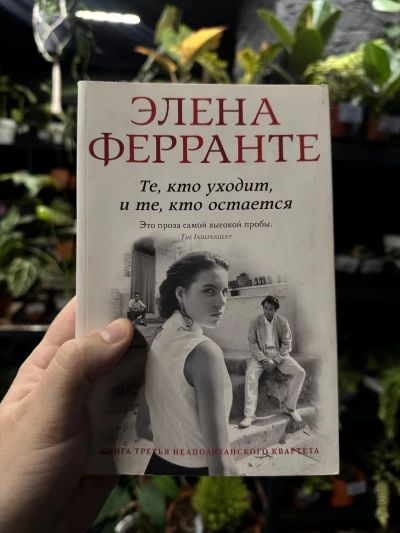 Те, кто уходит, и те, кто остается - Элена Ферранте