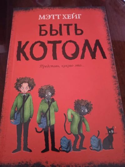 Быть котом