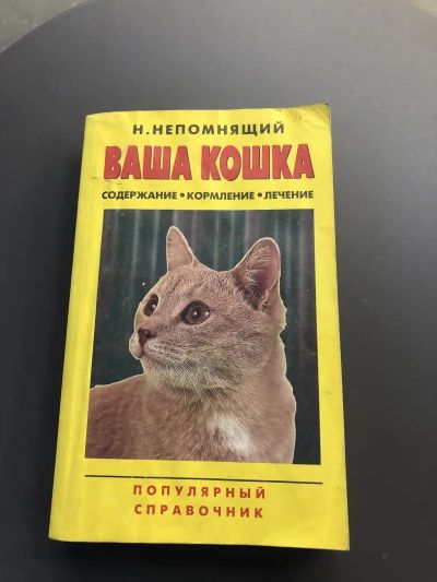 Ваша кошка