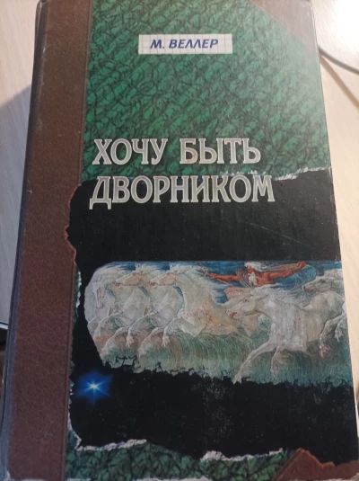Хочу быть дворником