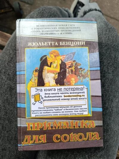 Приманка для сокола