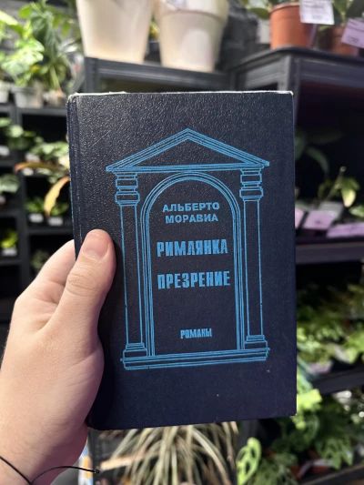 Римлянка. Презрение