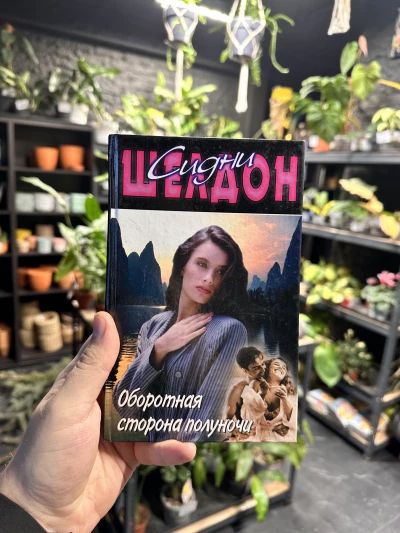 Оборотная сторона полуночи