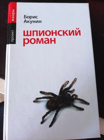 Шпионский роман
