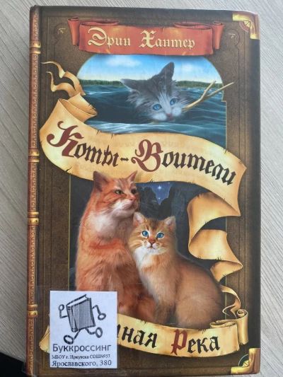 Темная река