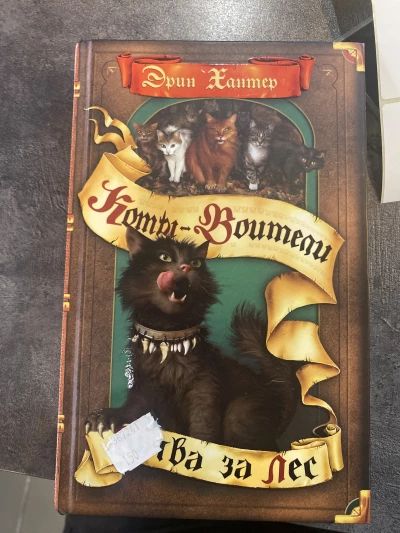 Коты воители. Битва за лес