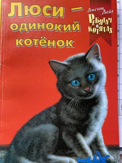 Люси - одинокий котёнок