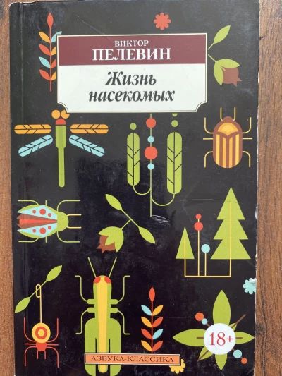 Жизнь насекомых