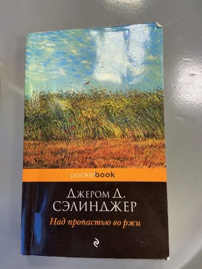 Над пропастью во ржи