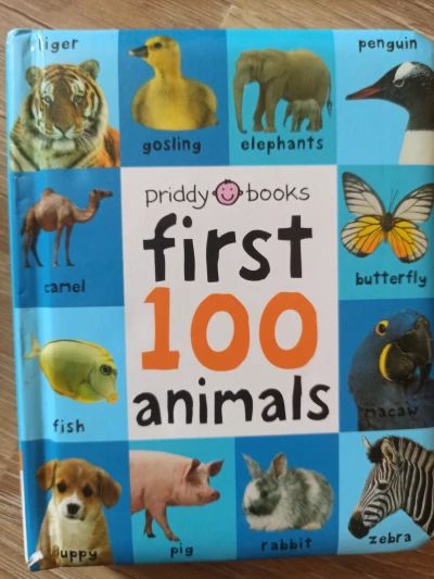 First 100 animals