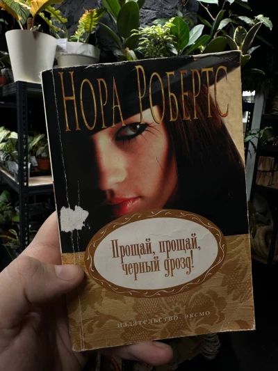 Прощай, прощай, черный дрозд