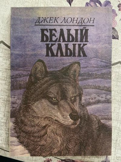 Белый клык