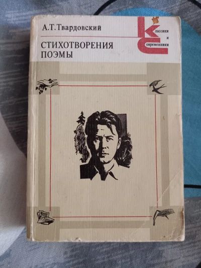 Стихотворения поэмы