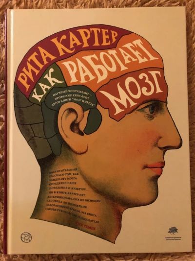 Как работает мозг