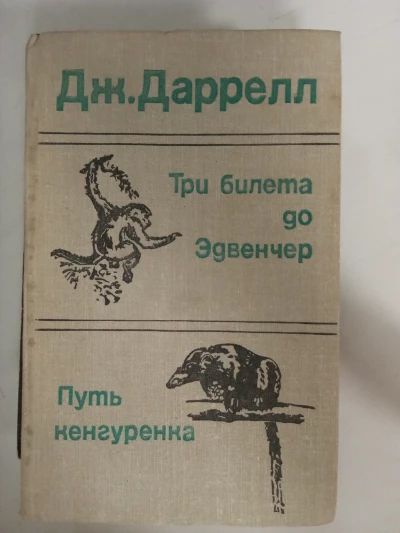 Три билета до Эдвенчер. Путь кенгуренка