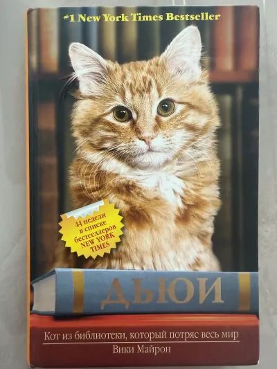 Дьюи. Кот из библиотеки, который потряс весь мир