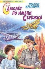 Самолет по имени Серёжка