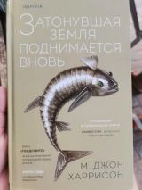 Затонувшая земля поднимается вновь