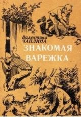 Знакомая варежка