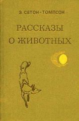 Рассказы о животных