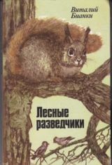 Лесные разведчики